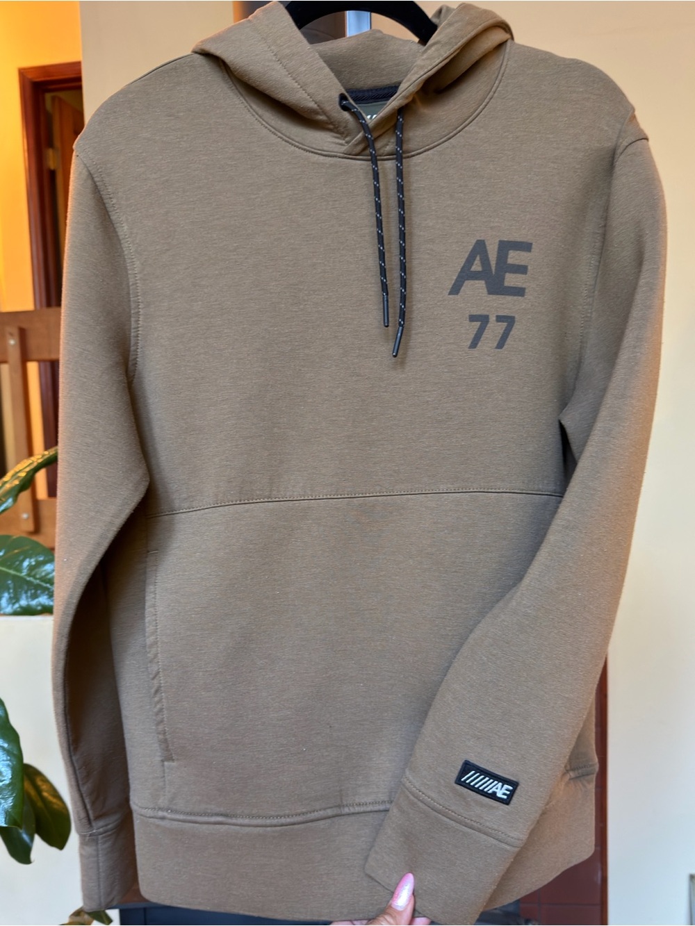 #369- Men’s American Eagle Outfitters AE 77 Hooded Pullover Sweatshirt